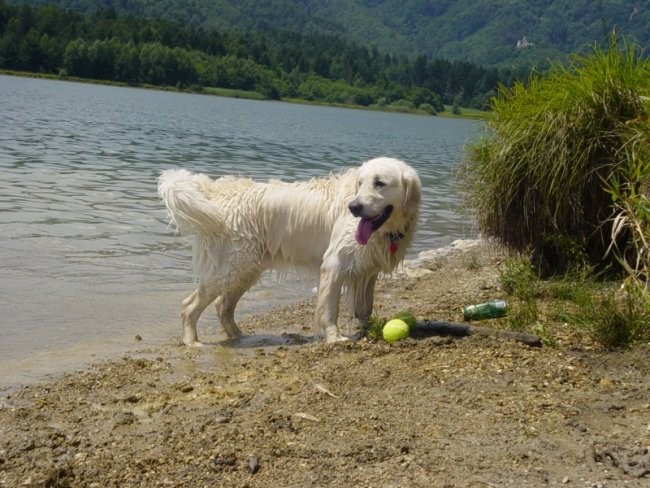 20.07.2008 - Zovnesko jezero - foto povečava