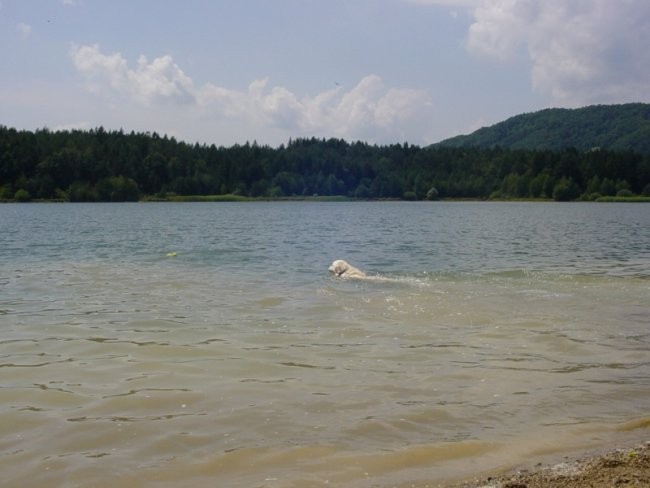 20.07.2008 - Zovnesko jezero - foto povečava