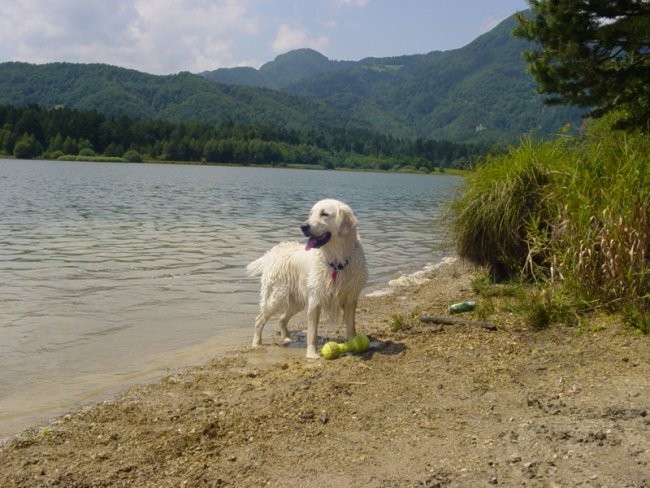 20.07.2008 - Zovnesko jezero - foto povečava