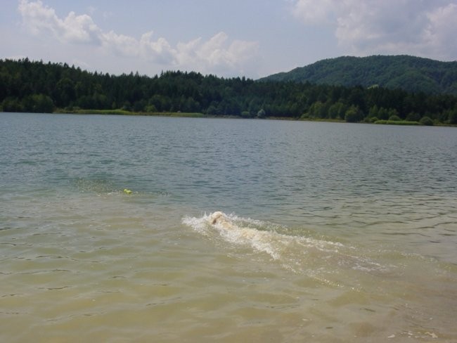 20.07.2008 - Zovnesko jezero - foto povečava