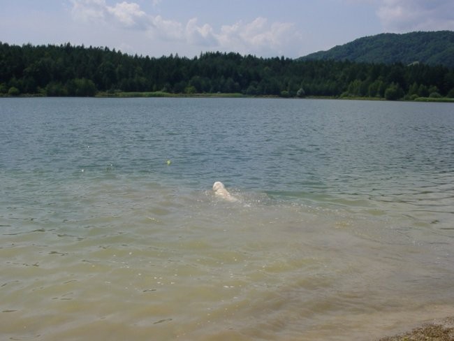 20.07.2008 - Zovnesko jezero - foto povečava