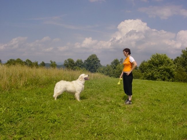 20.07.2008 - Zovnesko jezero - foto povečava