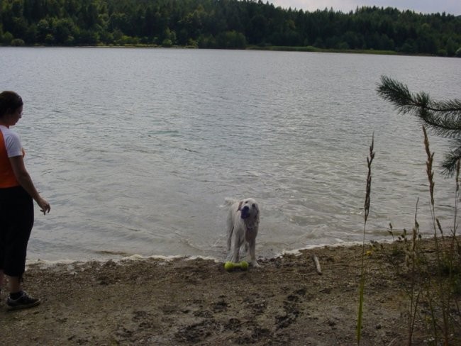 20.07.2008 - Zovnesko jezero - foto povečava