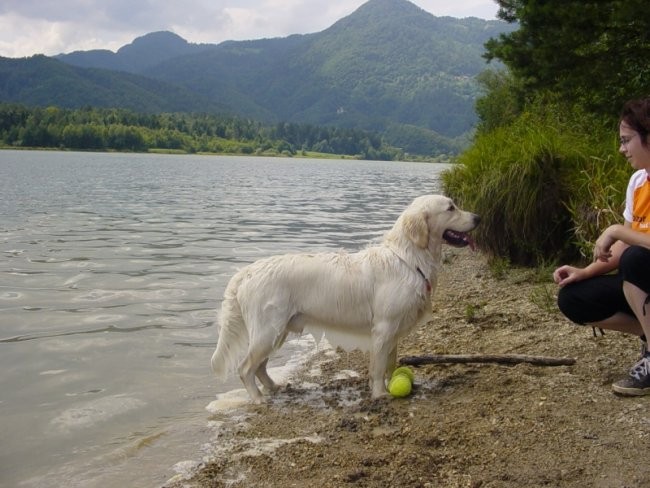 20.07.2008 - Zovnesko jezero - foto povečava