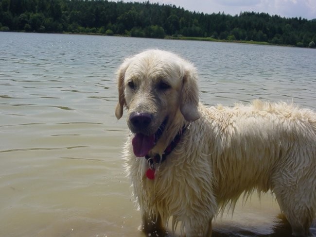 20.07.2008 - Zovnesko jezero - foto povečava