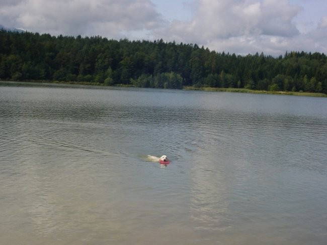 17.08.2008 - Zovnesko jezero - foto povečava