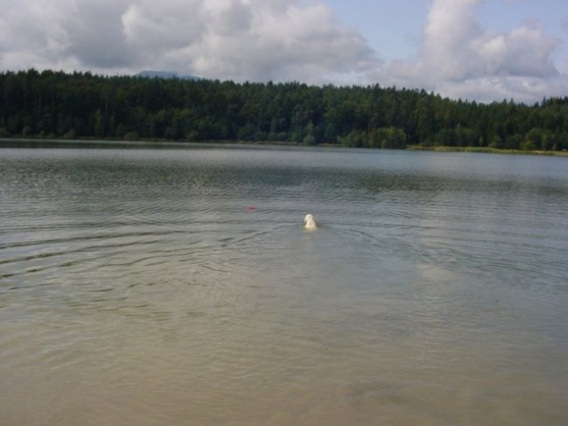 17.08.2008 - Zovnesko jezero - foto