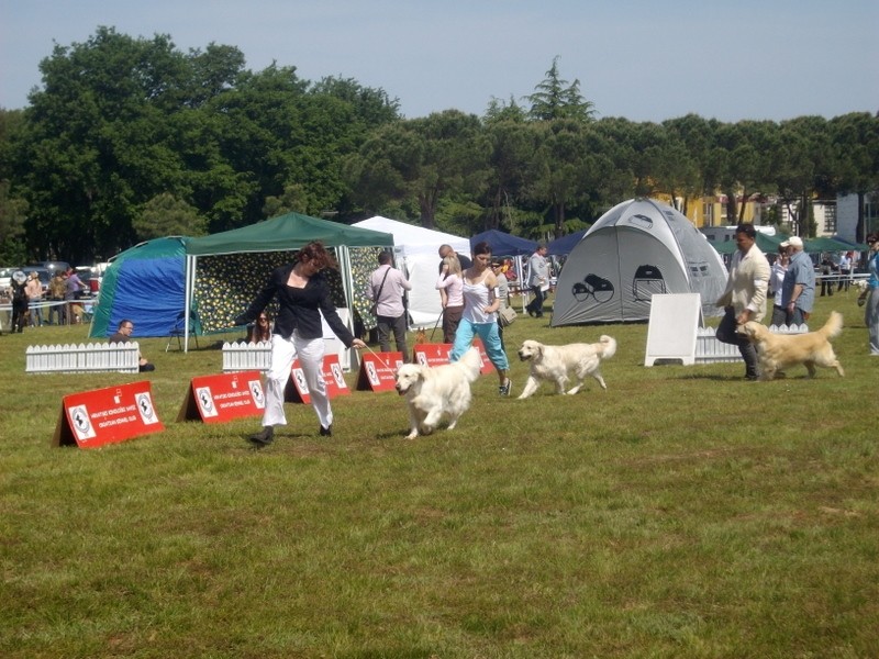 09. in 10.05.2009 - CACIB Umag - foto povečava