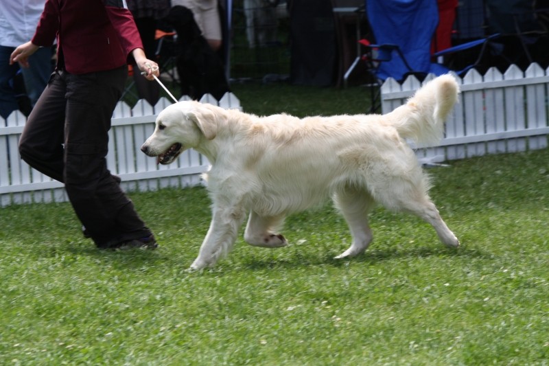 16.05.2009 - CAC Trakoscan [HR] - foto povečava