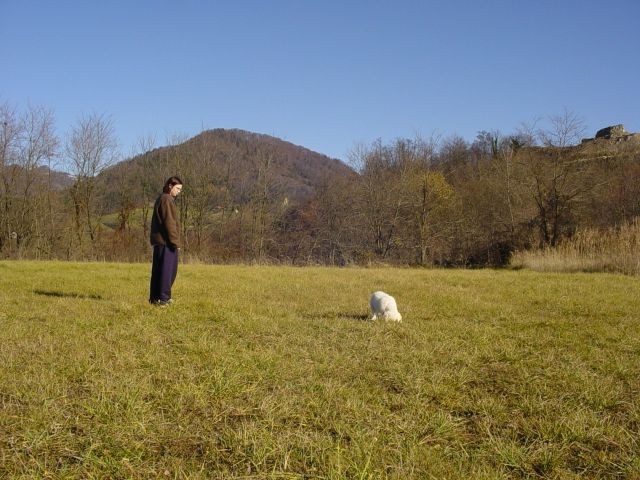 Cosmo doma - foto povečava