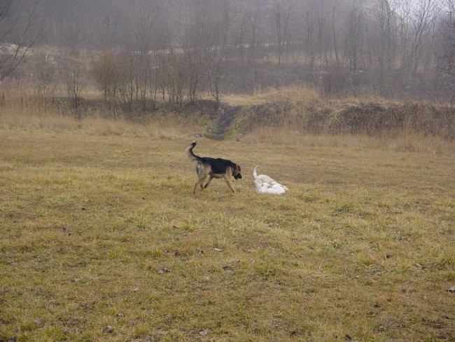 20.01.2007 - Obisk sestric Didi in Lune - foto povečava