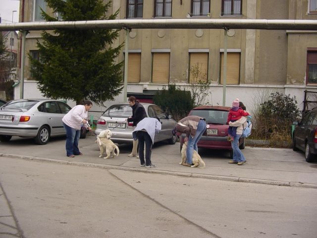 20.01.2007 - Obisk sestric Didi in Lune - foto povečava