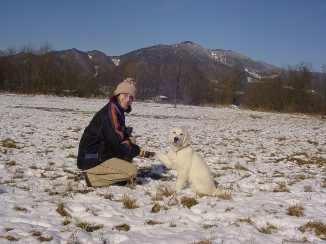 28.01.2007 - Prvi sneg - foto povečava