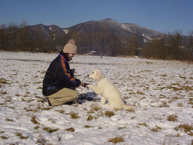 28.01.2007 - Prvi sneg - foto povečava