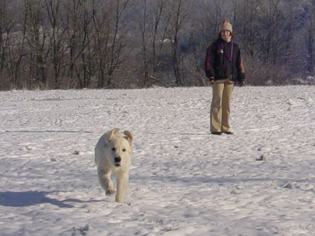 28.01.2007 - Prvi sneg - foto povečava