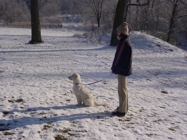 28.01.2007 - Prvi sneg - foto