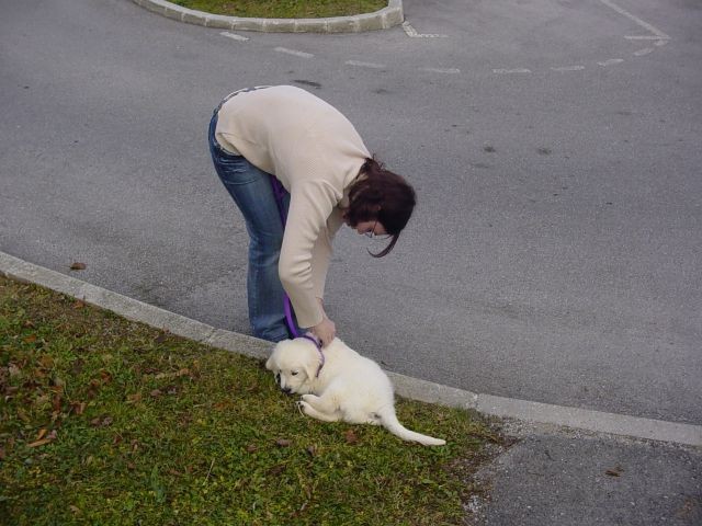 19.11.2006 - Odhod proti domu - foto povečava