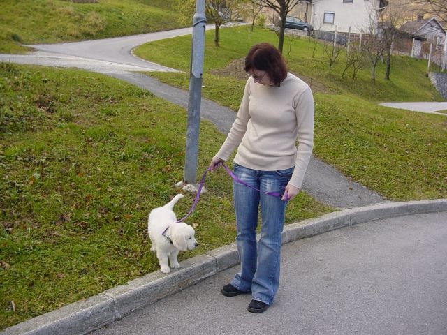 19.11.2006 - Odhod proti domu - foto povečava