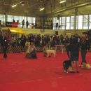 25.02.2007 - CAC Celje 2007 [Prva razstava; O