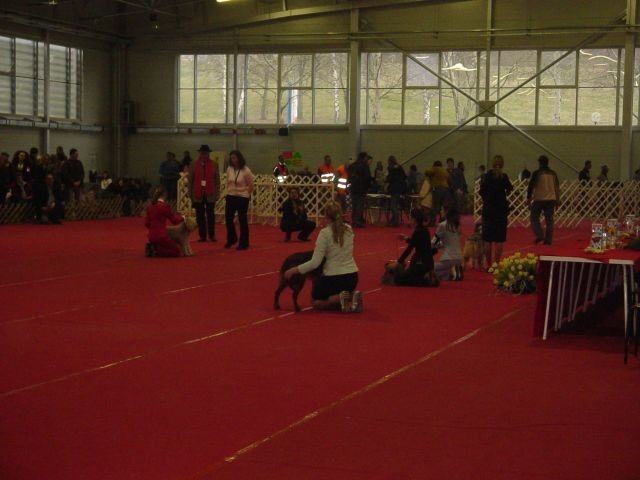 25.02.2007 - CAC Celje 2007 [Prva razstava; O - foto povečava