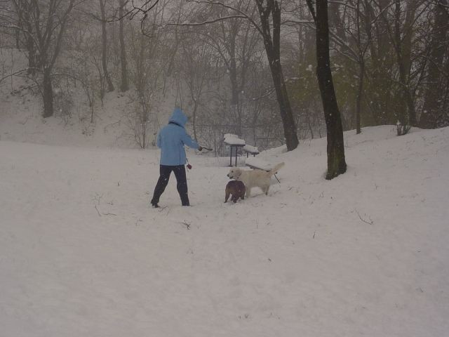 20.03.2007 - Norenje na snegu z boxerko Piko - foto povečava