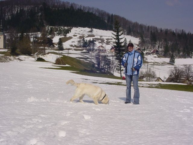 27.03.2007 - Hribi - foto povečava