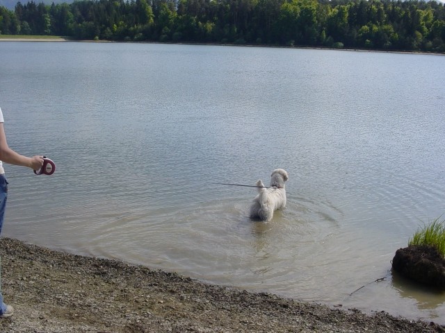 01.05.2007 - Zovnesko in Smartinsko jezero - foto povečava