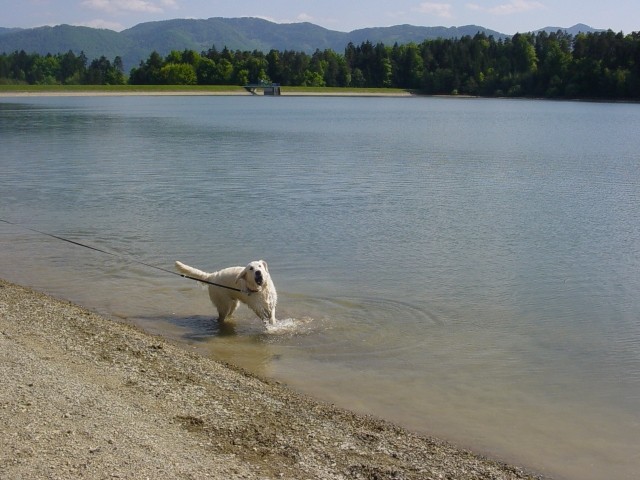 01.05.2007 - Zovnesko in Smartinsko jezero - foto povečava