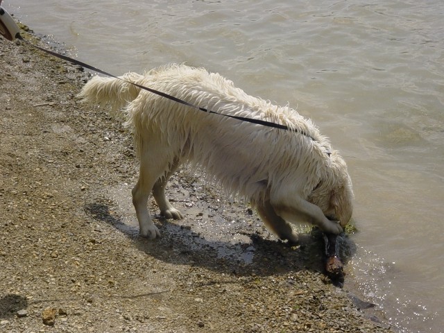 27.05.2007 - Zovnesko jezero - foto povečava