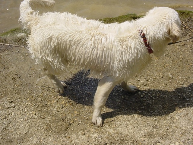 27.05.2007 - Zovnesko jezero - foto povečava