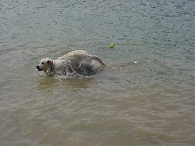 27.05.2007 - Zovnesko jezero - foto povečava