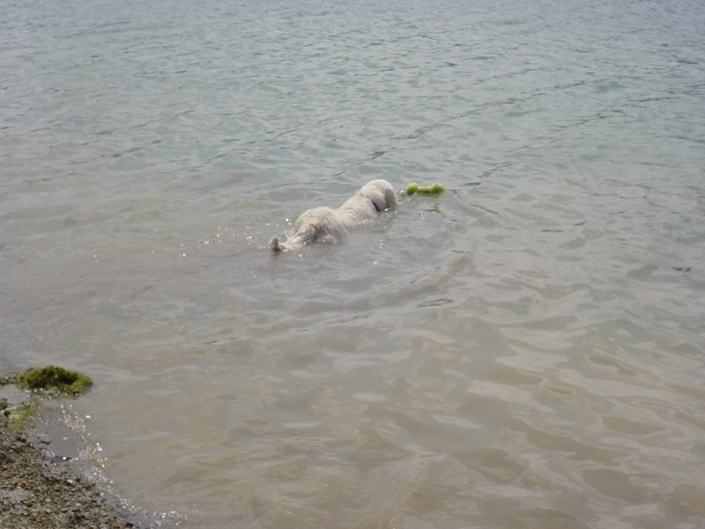 27.05.2007 - Zovnesko jezero - foto povečava