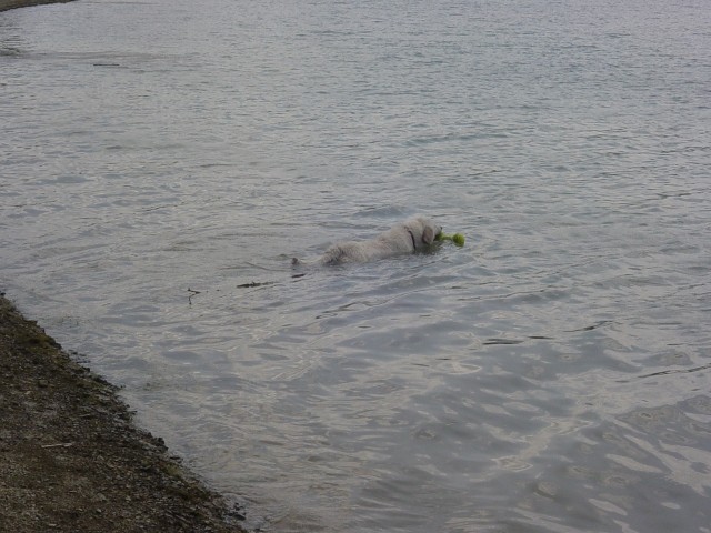 27.05.2007 - Zovnesko jezero - foto