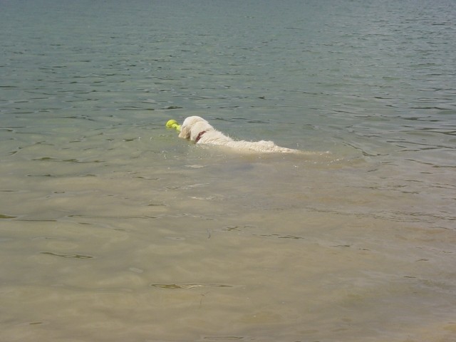 27.05.2007 - Zovnesko jezero - foto povečava