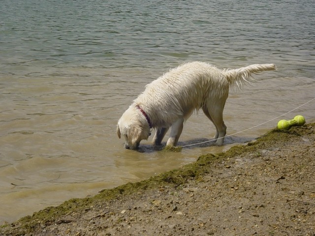 27.05.2007 - Zovnesko jezero - foto