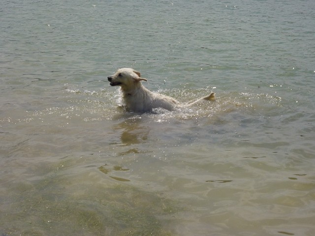 27.05.2007 - Zovnesko jezero - foto povečava
