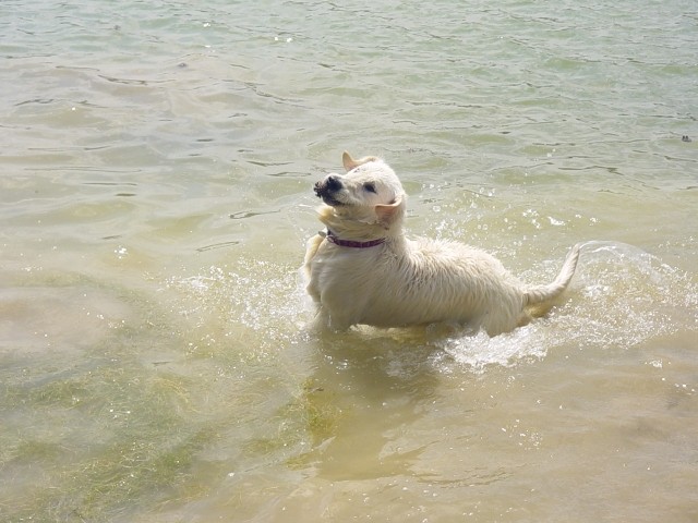 27.05.2007 - Zovnesko jezero - foto povečava