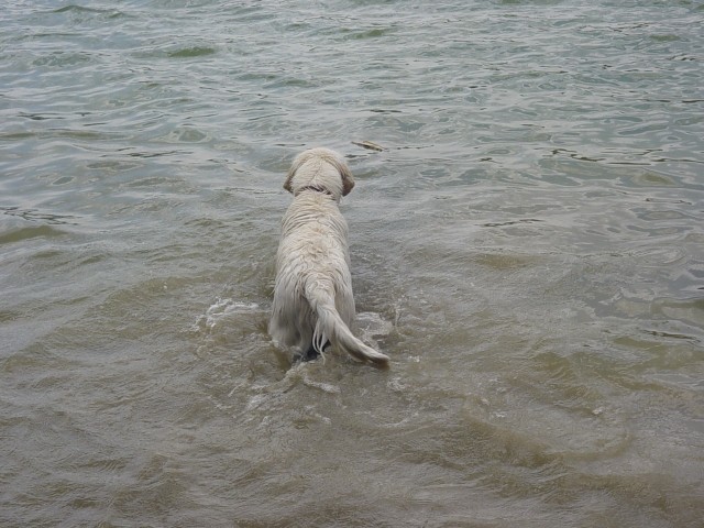 27.05.2007 - Zovnesko jezero - foto