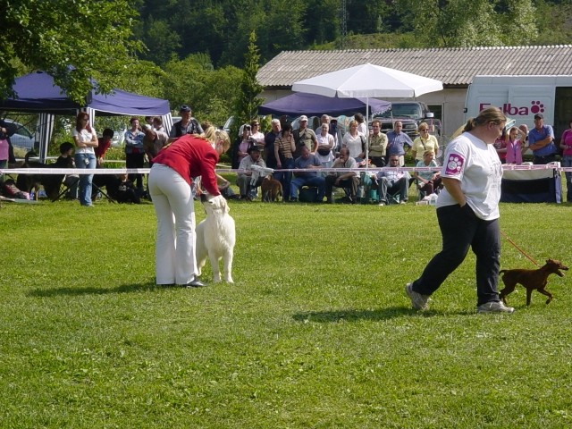 03.06.2007 - CAC Hrusica [Ocena: ZP] - foto povečava