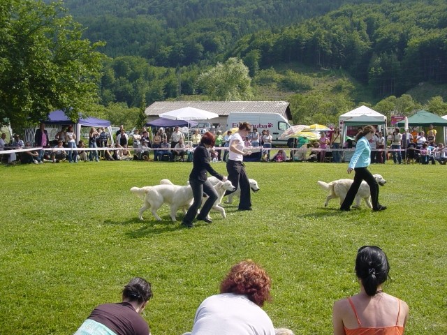 03.06.2007 - CAC Hrusica [Ocena: ZP] - foto povečava