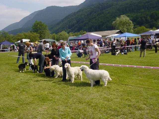 03.06.2007 - CAC Hrusica [Ocena: ZP] - foto povečava