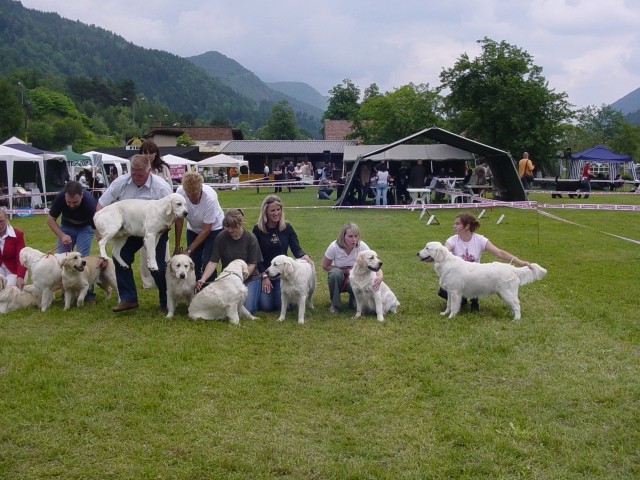 03.06.2007 - CAC Hrusica [Ocena: ZP] - foto povečava