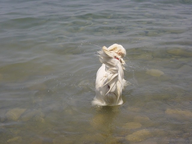 25.06.2007 - Mesecev zaliv, Strunjan - foto