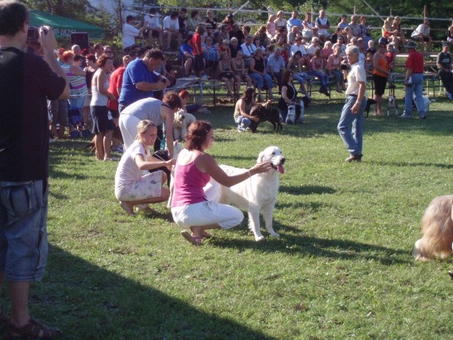 26.08.2007 - CAC Trbovlje [Ocena: Odlicno 2] - foto povečava