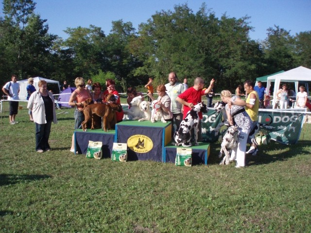 26.08.2007 - CAC Trbovlje [Ocena: Odlicno 2] - foto povečava