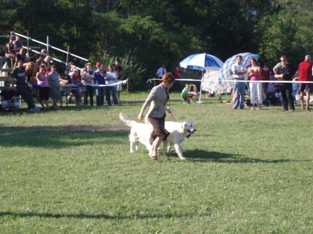 26.08.2007 - CAC Trbovlje [Ocena: Odlicno 2] - foto povečava