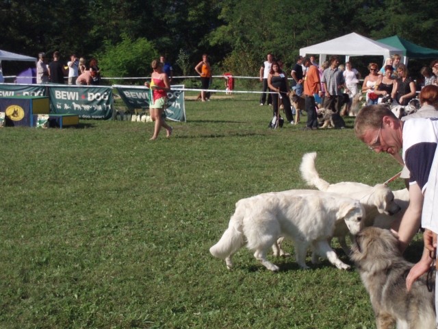 26.08.2007 - CAC Trbovlje [Ocena: Odlicno 2] - foto