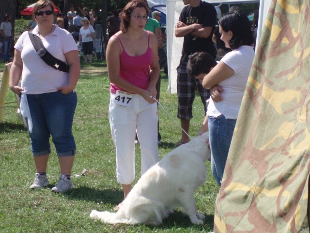 26.08.2007 - CAC Trbovlje [Ocena: Odlicno 2] - foto povečava