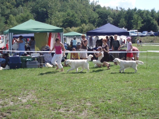 26.08.2007 - CAC Trbovlje [Ocena: Odlicno 2] - foto povečava