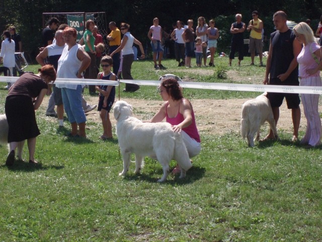 26.08.2007 - CAC Trbovlje [Ocena: Odlicno 2] - foto